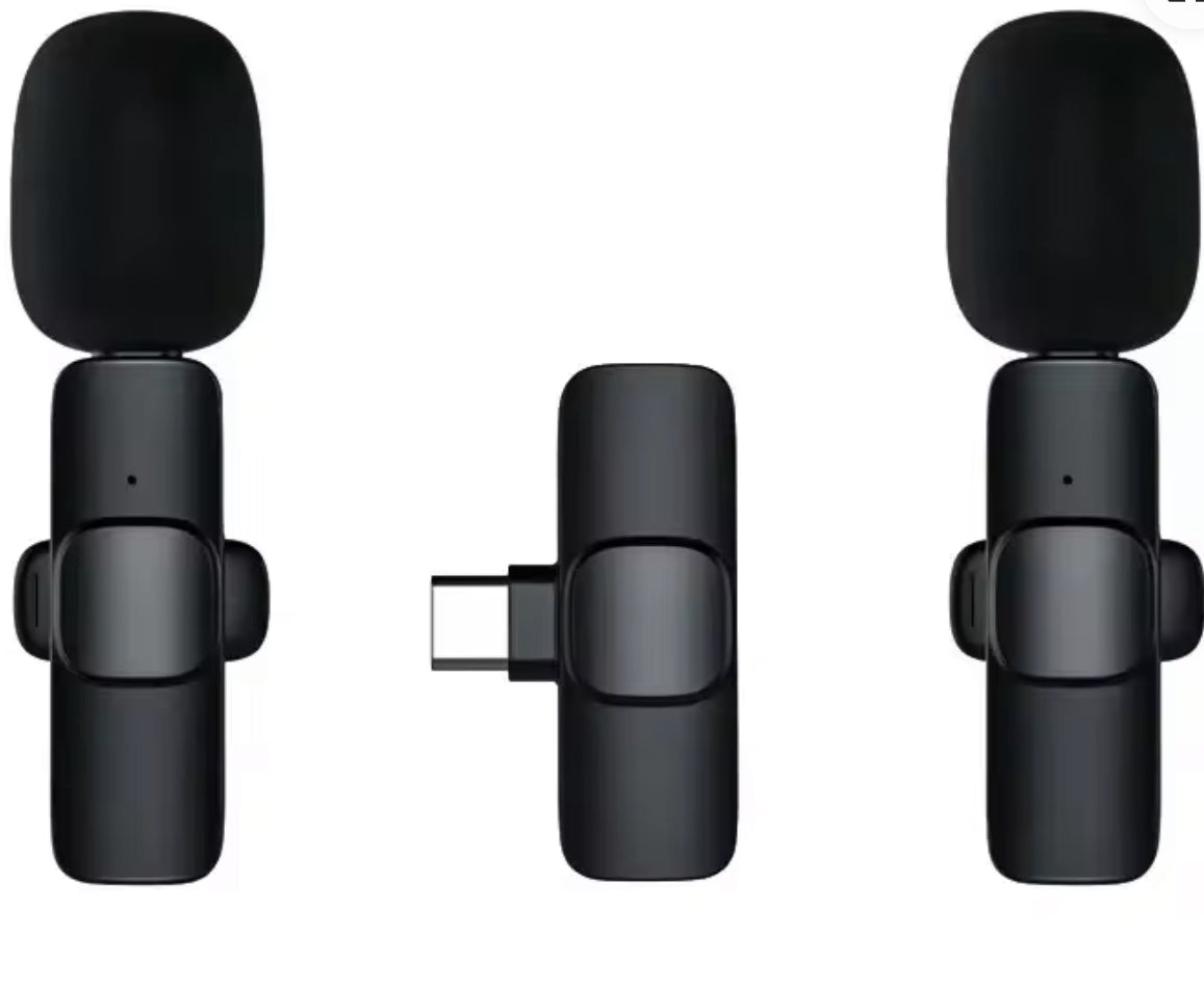 2 piece wirless mic